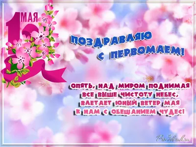 1 мая - Праздник весны и труда: красивые картинки и прикольные открытки с  надписями - МК Новосибирск