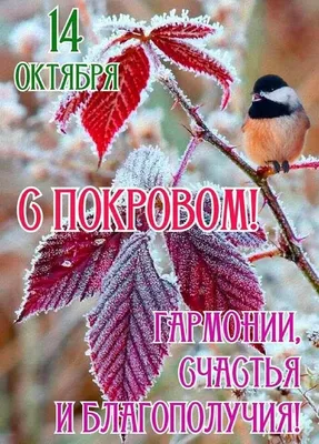 Покров Пресвятой Богородицы 2019: красивые и нежные поздравления и открытки