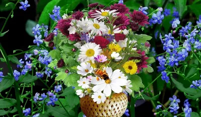 Красивый букет полевых цветов - 83 фото