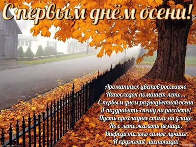 Поздравляем с последним днем осени 2023 — как провести  —  красивые пожелания и цветные картинки — на украинском