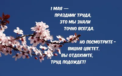 Праздник Весны и Труда 1 Мая: новые красивые открытки и поздравления в  стихах с Первомаем-2022 - 