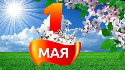 Прикольные открытки на 1 мая открытки, поздравления на 