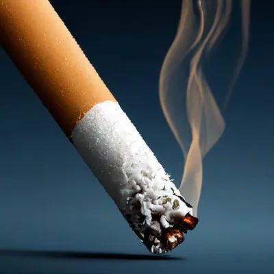 картинки : дым, курение, Зеленый, насекомое, Сигарета, Беспозвоночный,  Крупным планом, Сигара, Табак, Макросъемка, нездоровый, рак легких, не  курить, курить запрещено 2048x1536 - - 1158201 - красивые картинки - PxHere