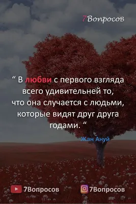 Красивые, вдохновляющие цитаты о любви. | Вдохновляющие цитаты, Правдивые  цитаты, Лучшие цитаты