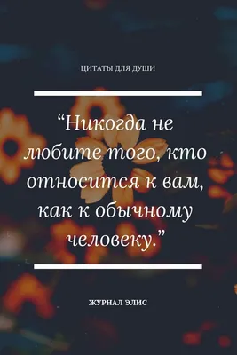 Красивые слова и цитаты о любви о жизни | Правдивые цитаты, Мотивирующие  цитаты, Важные цитаты