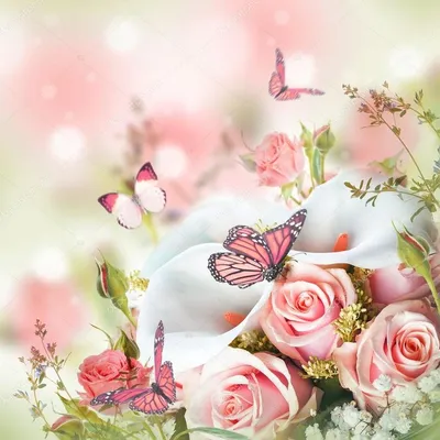 цветы и бабочки | Butterfly wallpaper backgrounds, Butterfly painting,  Butterfly wallpaper