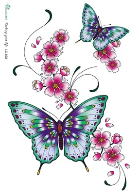 картинки : природа, цветок, лепесток, насекомое, ботаника, Бабочка, Флора,  Фауна, Беспозвоночный, цветы, красивая, нектар, Макросъемка, Опылитель,  Однолетнее растение, Бабочки и бабочки 2730x2346 - - 1019262 - красивые  картинки - PxHere