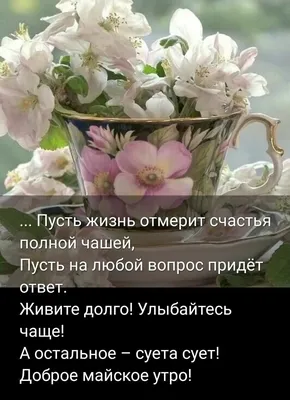 О дружбе красивыми словами: 20 цитат про дружбу, на которые стоит обратить  внимание - 7Дней.ру