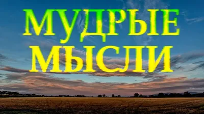 Статусы Мудрые мысли... - Статусы Мудрые мысли Красивые фразы