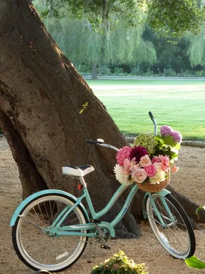 Красивая молодая женщина с велосипедом в парке на весенний день :: Стоковая  фотография :: Pixel-Shot Studio