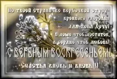 Красивые с вербным воскресеньем католики (33 фото) » Юмор, позитив и много  смешных картинок