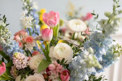 30 самых красивых весенних цветов: определитель с фото и названиями фото HD  картинки – Mariupol Pitomnik "AZOV"