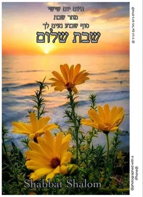 Pin by Michelle Glenda on shabbat shabbes sabbath | Shabbat shalom, Shabbat  shalom in hebrew, Shabbat shalom images