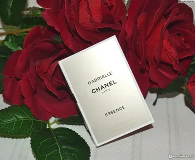 Самые шлейфовые ароматы для женщин: стойкий парфюм в красивых флаконах |  Парфюмоголик NS | Дзен