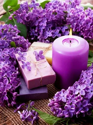 красивые сиреневые цветы в корзине на фиолетовом фоне :: Стоковая  фотография :: Pixel-Shot Studio