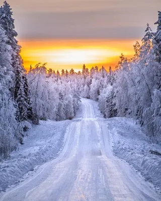 Красивые картинки зима нарисованная (37 фото)