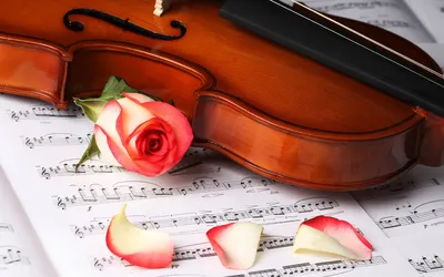 Красивая скрипка и смычок на цветном фоне :: Стоковая фотография ::  Pixel-Shot Studio