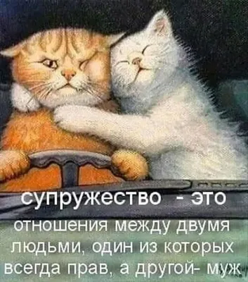 💓💓МЫ , СОВЕТСКАЯ МОЛОДЕЖЬ ! Авторская группа — Разное |  | Смешные  открытки, Смешные карикатуры, Смешные котята