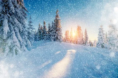 Картинки красивые когда идет снег (70 фото) » Картинки и статусы про  окружающий мир вокруг
