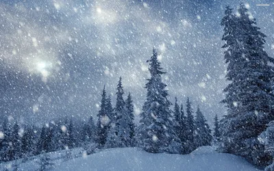Красивый снег (59 фото) - 59 фото