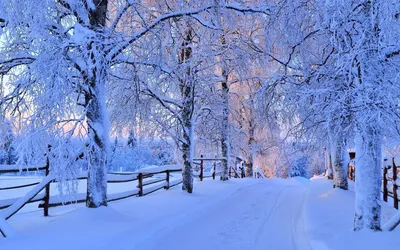 Дневник "особенной" девушки | ❄Красивая снежная зима❄ | Дзен