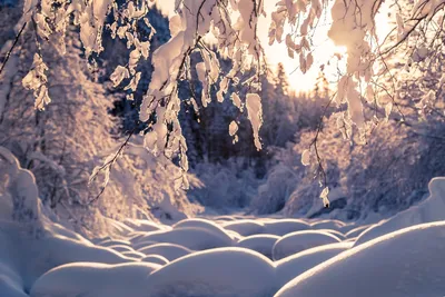 Зима наступает❄❄❄ Холодная, красивая …» — создано в Шедевруме