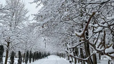 Самые красивые снежные скульптуры Новосибирска за все времена