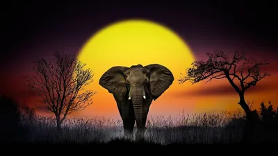 Самый красивый слон в мире, …» — создано в Шедевруме
