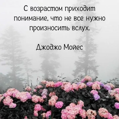 Красивые слова о любви и отношениях: мудрые высказывания известных людей