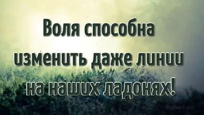 Самые красивые цитаты о жизни. Топ-30 на каждый день. Часть 3 | Глоток  Мотивации | Дзен