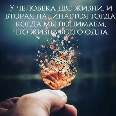 Джалаледдин Руми цитата: „Жизнь без любви не имеет смысла; Любовь — вода  жизни, Пей же её