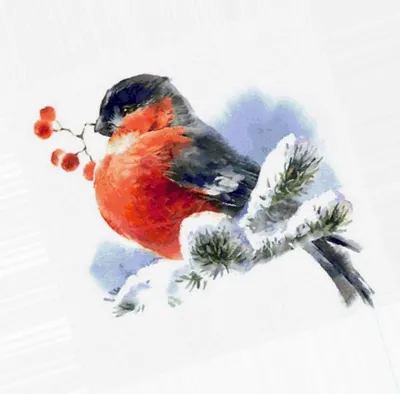 Снегири на старых новогодних открытках: неисчерпаемый источник вдохновения:  Идеи и вдохновение в журнале Ярмарки Мастеров