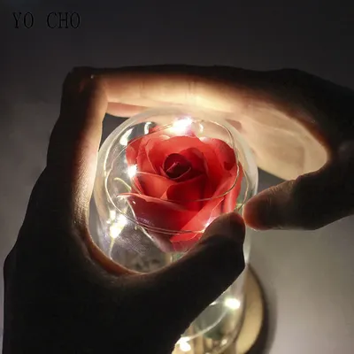 Красивые неувядающие цветы YO CHO, подарок 2019, сохраненные цветы в  стеклянном куполе, мыло, роза, подарок на день Святого Валентина,  рождественский подарок, игрушки | AliExpress