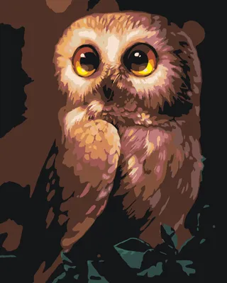 Owl. Совушка.PNG. | Искусство птицы, Милые рисунки, Рисунок птиц