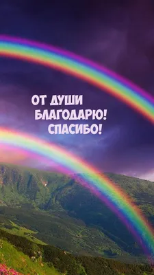 Картинки поздравления благодарю от всей души за (44 фото) » Юмор, позитив и  много смешных картинок