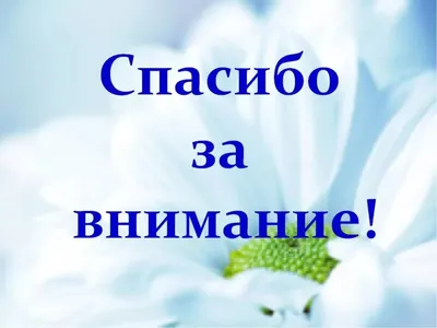 Картинки красивые и смешные спасибо за внимание (48 фото) » Красивые  картинки, поздравления и пожелания - 