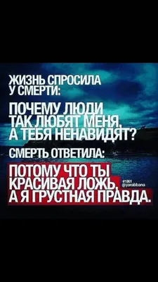 Поклонники Анастасии Решетовой раскритиковали ее за высказывания о хиджабе  после принятия ислама |  | Дзен