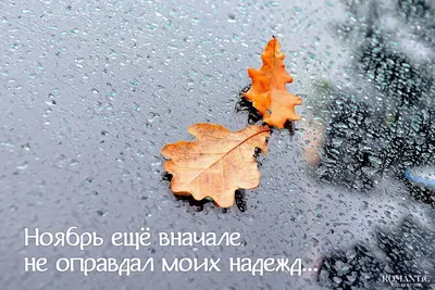 С первым днём осени. Привет, осень. 60 уютных картинок! | Осень, Счастливые  картинки, Осенние картинки