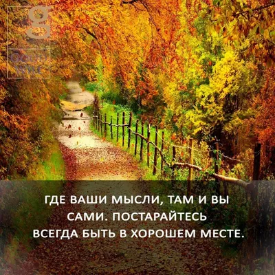 Цитаты про осень: красивые фразы из книг