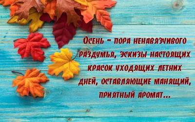 Осень афоризмы мотивация на лето артур | Вдохновляющие цитаты, Короткие  цитаты, Душевные цитаты