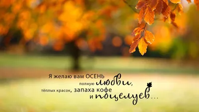 ЛЕТО. ЦИТАТЫ, СТАТУСЫ, ВЫСКАЗЫВАНИЯ ПРО ЛЕТО, ОТДЫХ, ОТПУСК. ЮМОР.