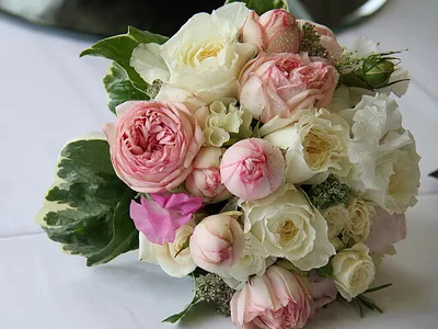 Свадебный букет в светлых тонах. Букет невесты с пионами, розой охарой,  карамельной гвоздикой, перси… | Маленькие свадебные букеты, Свадебные букеты,  Свадебные идеи