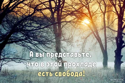 Каждый раз когда взрываются снаряд, сброшенный во имя демократии, где-то  далеко далеко в Америке улыбается статуя свободы. / Я Ватник :: разное ::  Статуя Свободы :: Америка :: улыбка :: арт :: красивые картинки :: разная  политота - JoyReactor