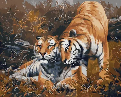 Волгоградцы потребовали запретить новогодние фотосессии с живыми тиграми -   - 