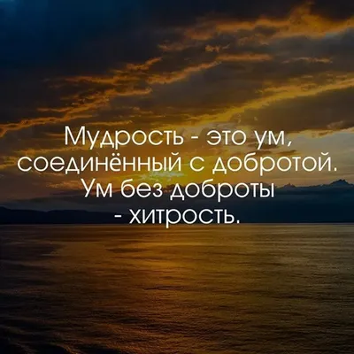 Красивые слова о любви и отношениях: мудрые высказывания известных людей