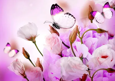 Красивые рисунки бабочки и цветы - 64 фото