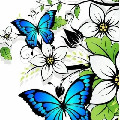 Картинки бабочки и цветы - 66 фото
