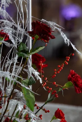 Красивые цветы в инее на снегу» — создано в Шедевруме