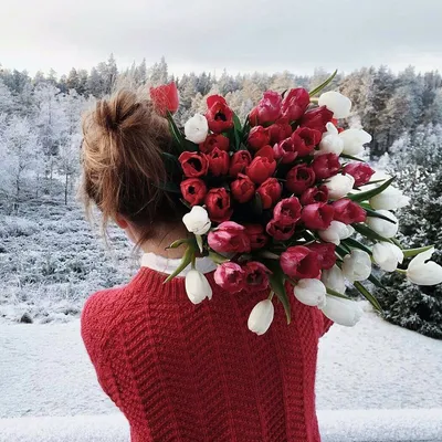 Красивые розы в снегу открытки (37 фото) » Уникальные и креативные картинки  для различных целей - 
