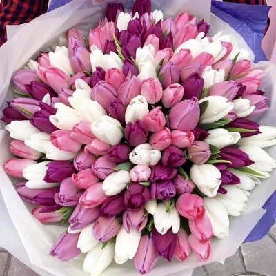 Красные тюльпаны, красивый букет | Tulip bouquet, Tulips, Flowers